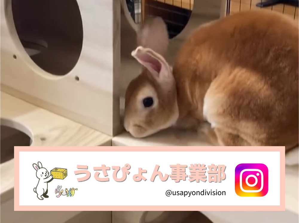 業務内容画像